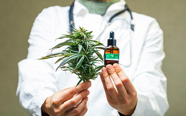 Eine Person in einem weißen Kittel hält eine Cannabis-Pflanze und ein Fläschchen.
