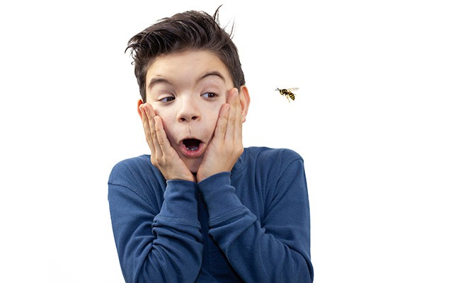 Ein Junge schaut überrascht auf eine nahe fliegende Biene.