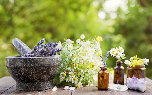 Kräuter und Blumen in Gläsern neben einem Mörser auf einem Holztisch im Freien.