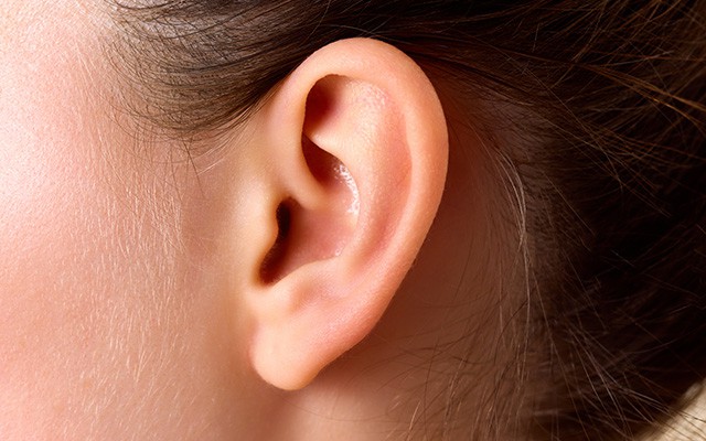 Nahaufnahme eines menschlichen Ohrs mit sichtbarer Haut- und Haarstruktur.