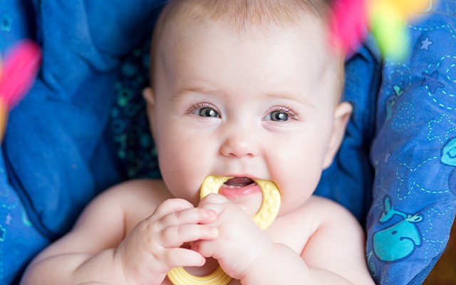 Baby kaut an einem Bei&szlig;ring