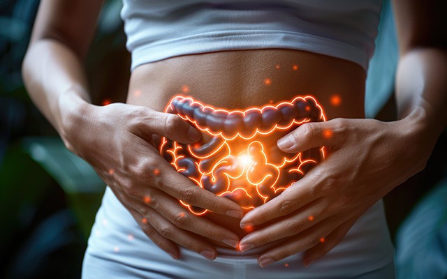 Eine Person hält den Bauch, der Darm leuchtet orange auf.